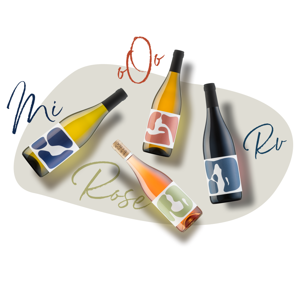 4 colors of the wine