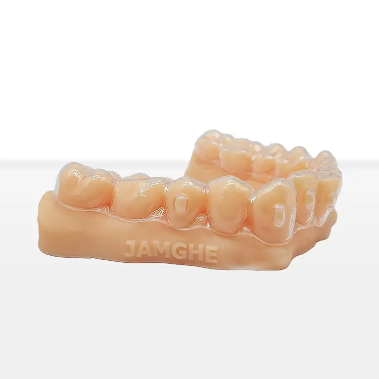 Rezultat rada — dentalni model izrađen JAMGHE Ortho rezinom